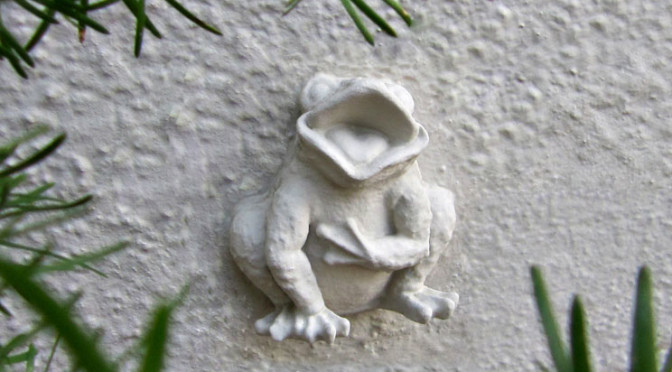Whimsical Toad