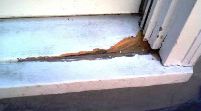 Dry Rot Repair