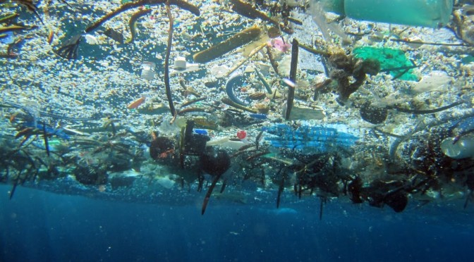 The Great Pacific Garbage Patch