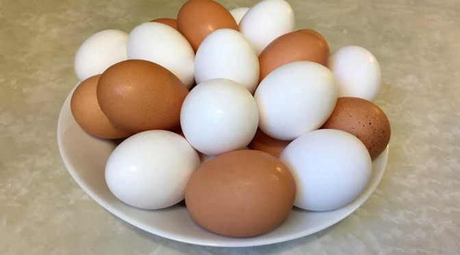 What Color Eggs Will That Chicken Lay?